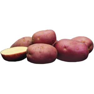 Ред Скарлет- вагова картопля, 1 кг фото, цiна